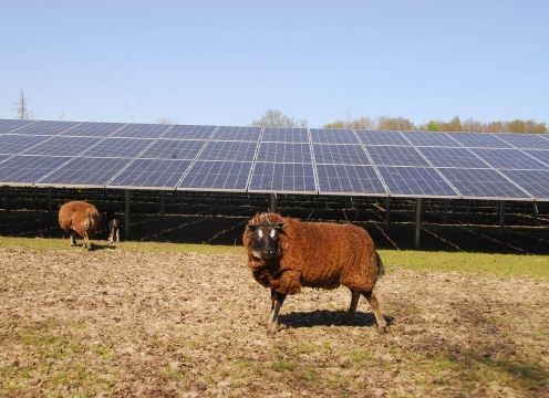solar plant