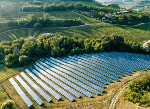 Solarfeld Natur Ausblick Zukunft Vision Energie